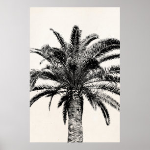 Poster Rétro palmier tropical d'île en noir et blanc