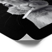 Poster Rétro Qui F_ck Est Alice Funny Rabbit (Coin)