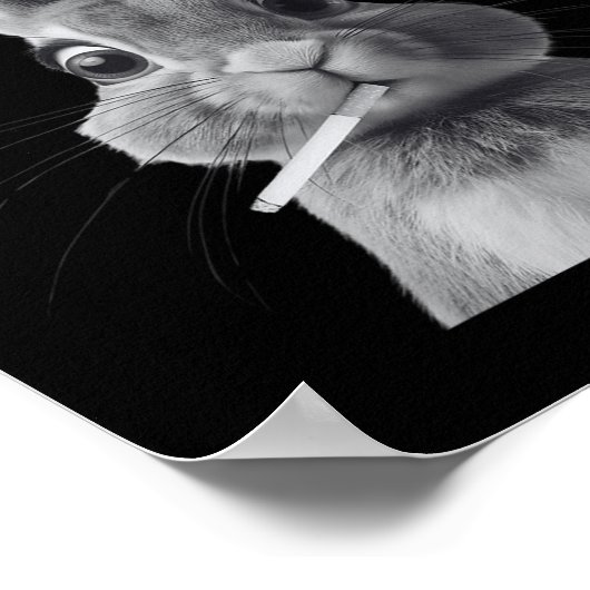 Poster Rétro Qui F_ck Est Alice Funny Rabbit (Coin)