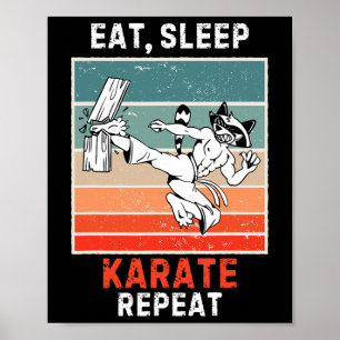 Poster Retro Raccoon Mange