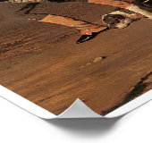 Poster Return from the Race, Aldred De Druex (Coin)