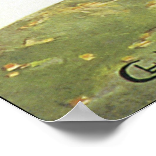 Poster Réunion D'Aviation (Coin)