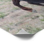 Poster Réunir (Coin)