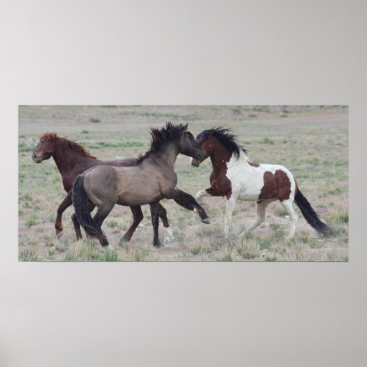 Poster Réunir (Devant)