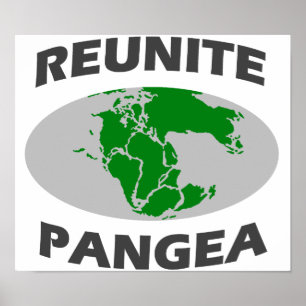 Poster Réunissez Pangea