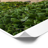 Poster Rêve bleu du ciel (Coin)