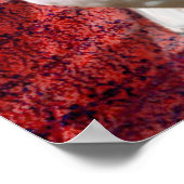 Poster rêve de colombe blanche (Coin)