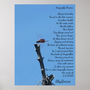 Poster rêve de dragonfly