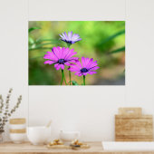 Poster Rêve de fleurs (Cuisine)