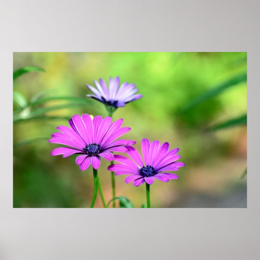 Poster Rêve de fleurs (Devant)