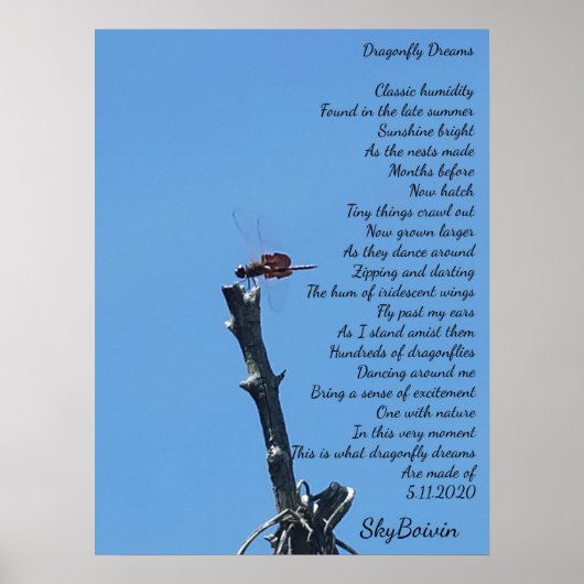 Poster rêve de libellule (Devant)