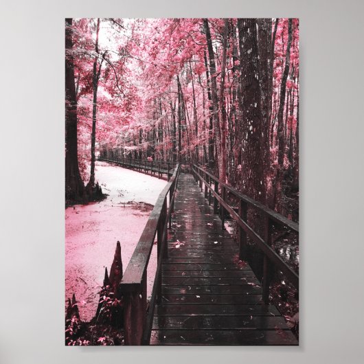 Poster rêve de marécage sain (Devant)