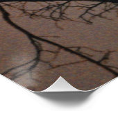 Poster Rêve lunaire (Coin)