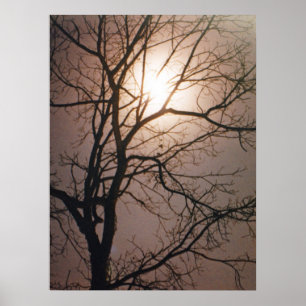 Poster Rêve lunaire