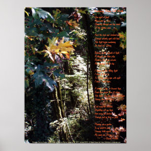 Poster Réveil de la valeur divine d'individu