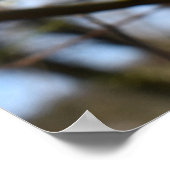 Poster Réveil du printemps (Coin)