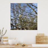 Poster Réveil du printemps (Cuisine)