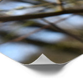 Poster Réveil printanier (Coin)