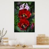 Poster Réveil printanier, Tulipes (Cuisine)