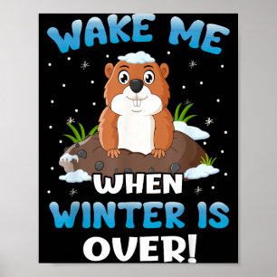 Poster Réveille-moi quand l'hiver sera fini Drôle de marm