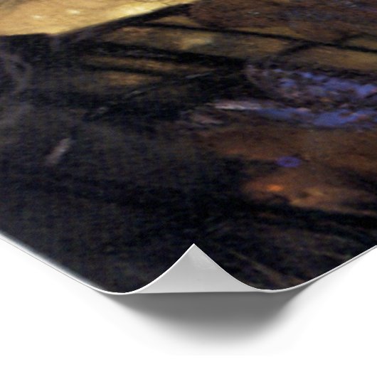 Poster Réveillon de mi-été (Coin)