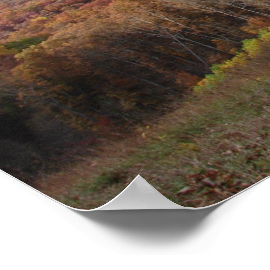 POSTER RÉVÉLATION RAINBOW PEGASUS (Coin)