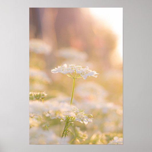 Poster Rêver avec les fleurs (Devant)