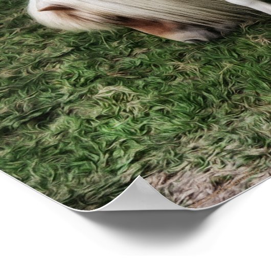 Poster Rêver d'un joli pony Photographie d'art (Coin)