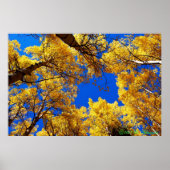 Poster Rêver en couleur (Devant)