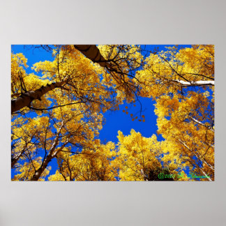 Poster Rêver en couleur