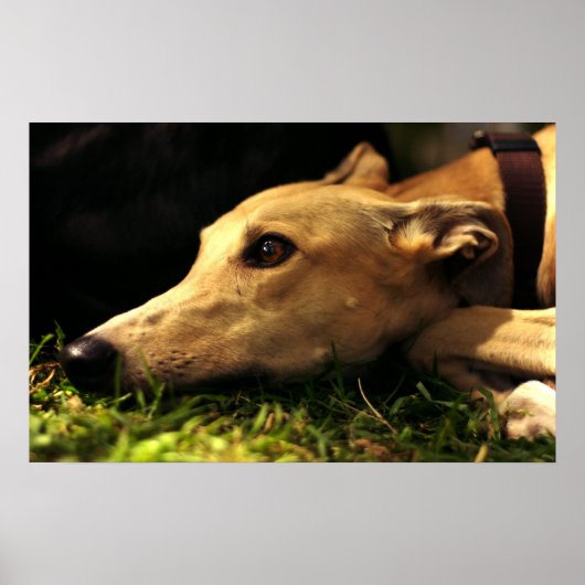 Poster rêverie (Devant)