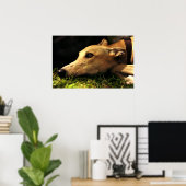 Poster rêverie (Bureau à domicile)