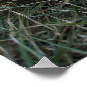 Poster Rêves de baseball photo (Coin)