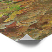 Poster Rêves de Vittorio Matteo Corcos 1896 (Coin)