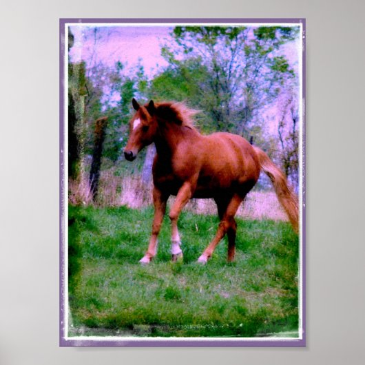 Poster Rêves du printemps, Sorrel Trotting (Devant)