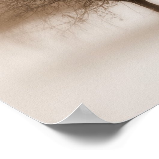 Poster Rêves mystiques (Coin)