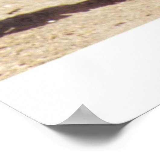 Poster Rêves PBR (Coin)