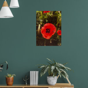 Poster Rêveur de pavot floral – Art de fantaisie botaniqu
