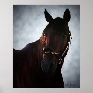 Poster Rêveur occidental