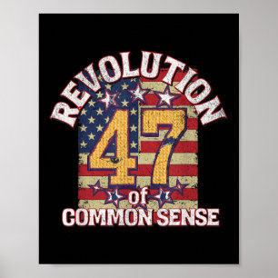 Poster Révolution Du Bon Sens Trump 47 Président