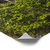 Poster Rewa River bordure Forêt forestière Guyane (Coin)