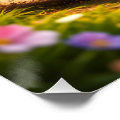 Poster Rex and hoot playtime fun vibrant nursery wall pos (Coin)