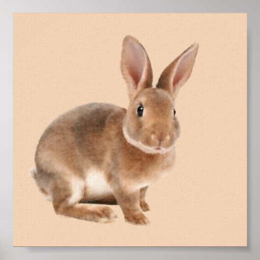 Poster Rex Rabbit (Devant)