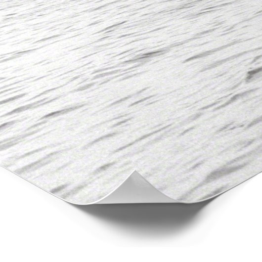 Poster Rex SS (Coin)