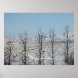 Poster Reykjavik Islande