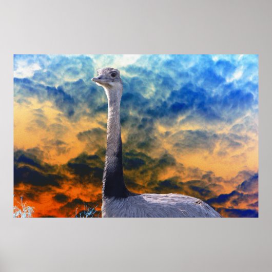 Poster Rhea sur Storm Cloud Sky (Devant)