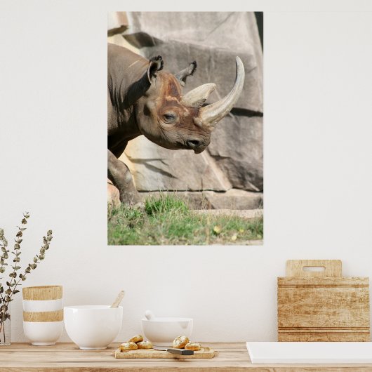Poster Rhino (Cuisine)