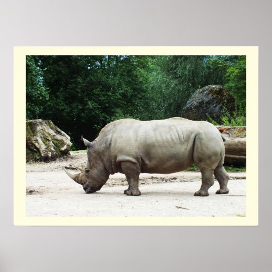 Poster Rhino (Devant)