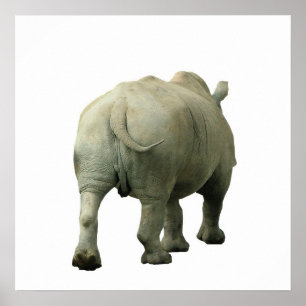 Poster Rhino