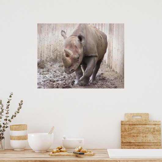 Poster Rhino 1 (Cuisine)